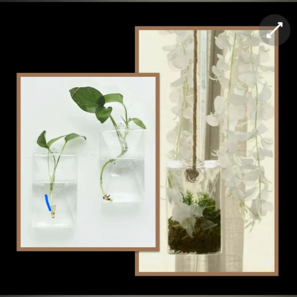 Glass Planter/Vases Set of 2 - Picture 4 of 4